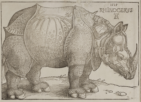 Noshörning av Albrecht Dürer